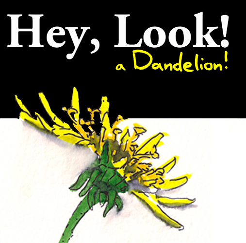 Dandelions Coverpromo.jpg
